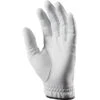 Ping Tour 201 White Men's Glove LH -Gofl Club Store P PIN20H0202PINGTOUR201GLOVEGENTSLHWHITE 1 L